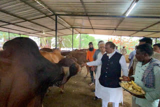 Minister K S Eshwarappa visits byre at Doddaballapura
