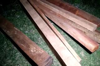 Sadiya illegal wood seized