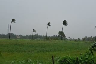 Odisha receive heavy rainfall and storm due to Cyclone Amphan