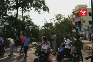 Two injured as tree falls in puducherry