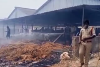 fire accident in nunna mango fruit market vijayawada
