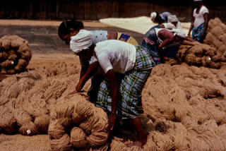 Using coir in road construction will give big boost to coir industry: MSME Minister