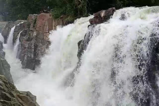 Waterfall in hogenakkal  5 thousand 500 cubic feet increase