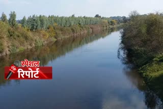 lockdown impact on Ghaggar River in sirsa