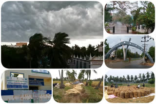 Influence of Amphan on  grain at east godavari district