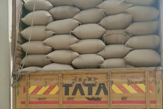 SDM caught truck full of wheat and rice in Greater Noida