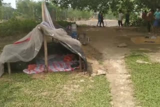 migrants workers  live in tents under the tree