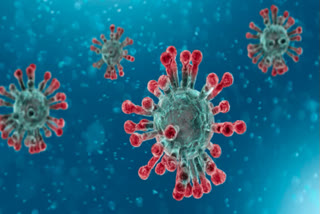 Coronavirus outbreak