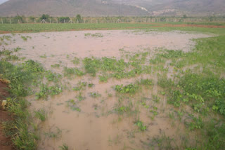 heavy-rain-in-nellore