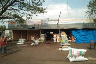 tadpole market