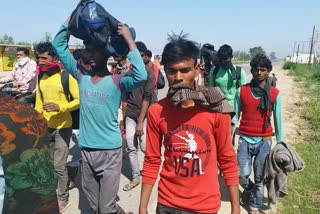 The RLD criticized the Bihar government on migrant labours