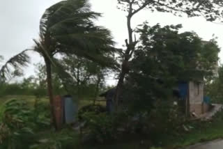 cyclone amphan in North Kolkata