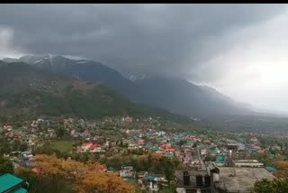 corona cases in kangra