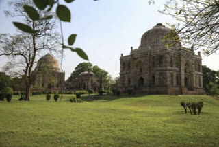 ndmc opens park for the common people with some restrictions