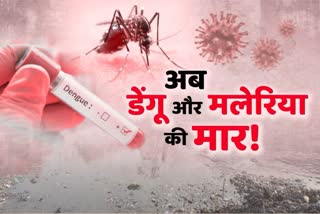 amid-corona-pandemic-dengue-and-malaria-threat-looming-in-uttarakhand