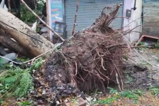 hooghly-district-is-badly-affected-due-to-cyclone-amphan