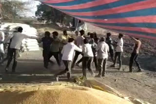 Kachi Baroda Wheat Procurement Center in Dhar district was attacked by farmers over the issue of weighing wheat