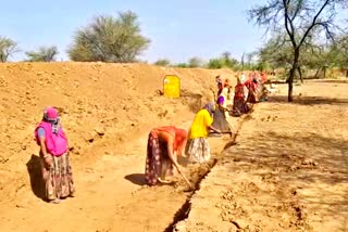 MNREGA news  migrant laborer news  bhilwara news  employment in MNREGA  etv bharat news