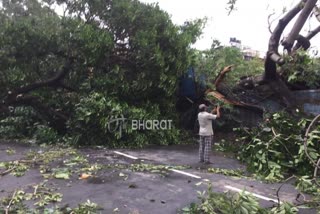 Amphan cyclone effect in west bengal