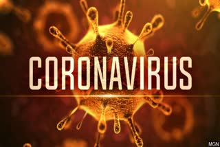 corona virus