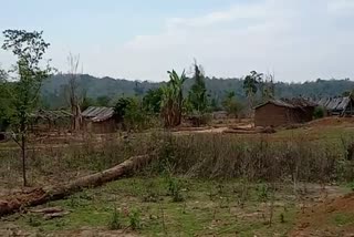 Lamding forest land enclosement