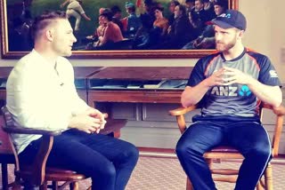 Brendon McCullum was gifted in his approach to the game: Kane Williamson