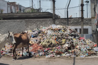 landfill on jahangirpuri road in delhi