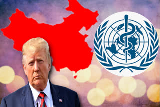 TRUMP-WHO- CHINA GAIN