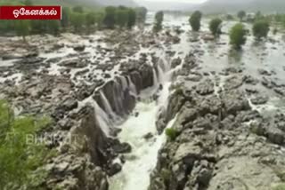 mercy of Amban - Six months after Hogenakkal five falls water