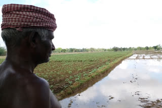 സമഗ്ര കാർഷിക നയം  കാർഷിക നയം  താങ്ങ് വില  കർഷകർ  comprehensive agriculture policy  agriculture policy