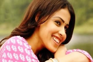 genelia to star in chiranjeevi lucifer remake