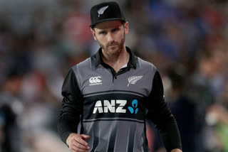 It was an amazing experience despite the loss: Kane Williamson