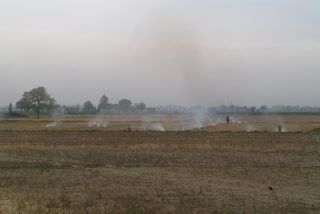 17 farmers fined for burning wheat residue in gohana