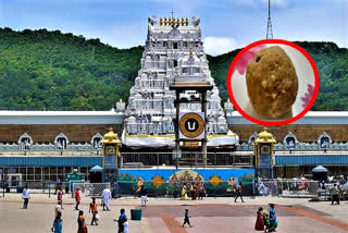 Tirumala temple to sell laddus at 50% discount