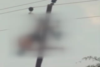 man climbed high tension pole