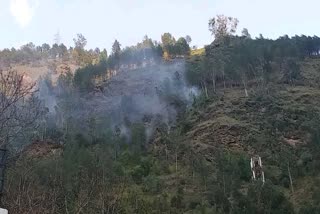 Fire in the forest along Rampur market