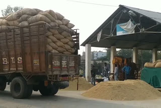 Bought 6 lakh 38 thousand metric tons of wheat in hoshangabad