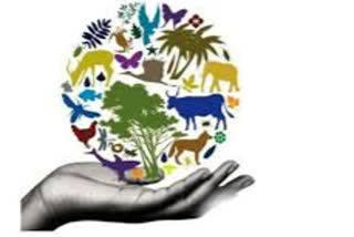 Etv Bharat,Gujarati News, World Biological Diversity Day