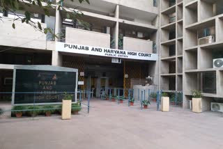 punjab haryana high court