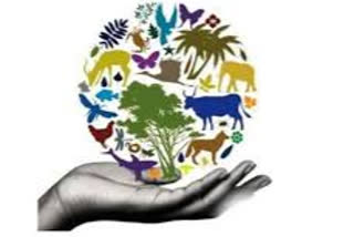 international day for biological diversity