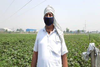 Farmer Farid Ahmed