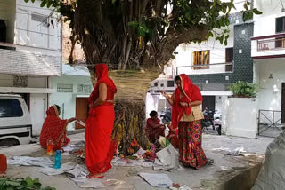 vat savitri puja