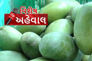 kutch NEWS