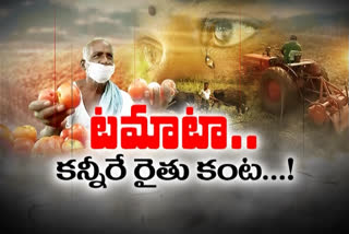 టమాటా.... రైతుల కంట కన్నీల పంట