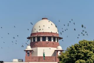 SC issues notice to Centre on plea seeking ban of zoom