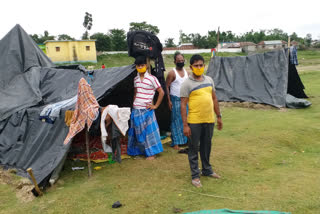 migrant workers are living in tents in north dinajpur