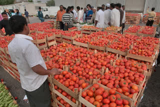 Tomato prices fall