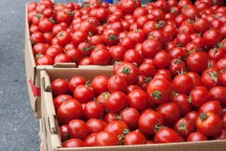 Tomato prices fall 3-year low at Rs 3-10/kg in Delhi, Bengaluru, Hyderabad wholesale markets