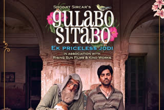 gulabo-sitabo-official-trailer-out-now