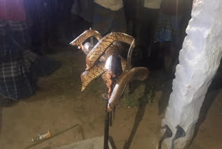 Drunk man cut snake into pieces, placed them on temple's sword in TN